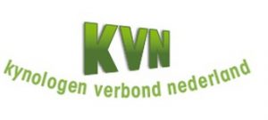 KVN LOGO