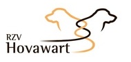 RZV logo