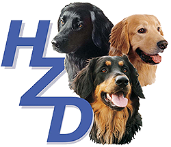 hzd-logo