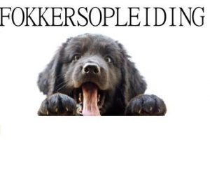 Fokkersopleiding