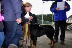 aIMG_7202 (38)