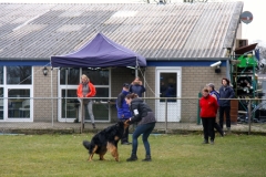 aIMG_7202 (65)