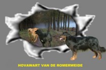Kennel van de Romerweide