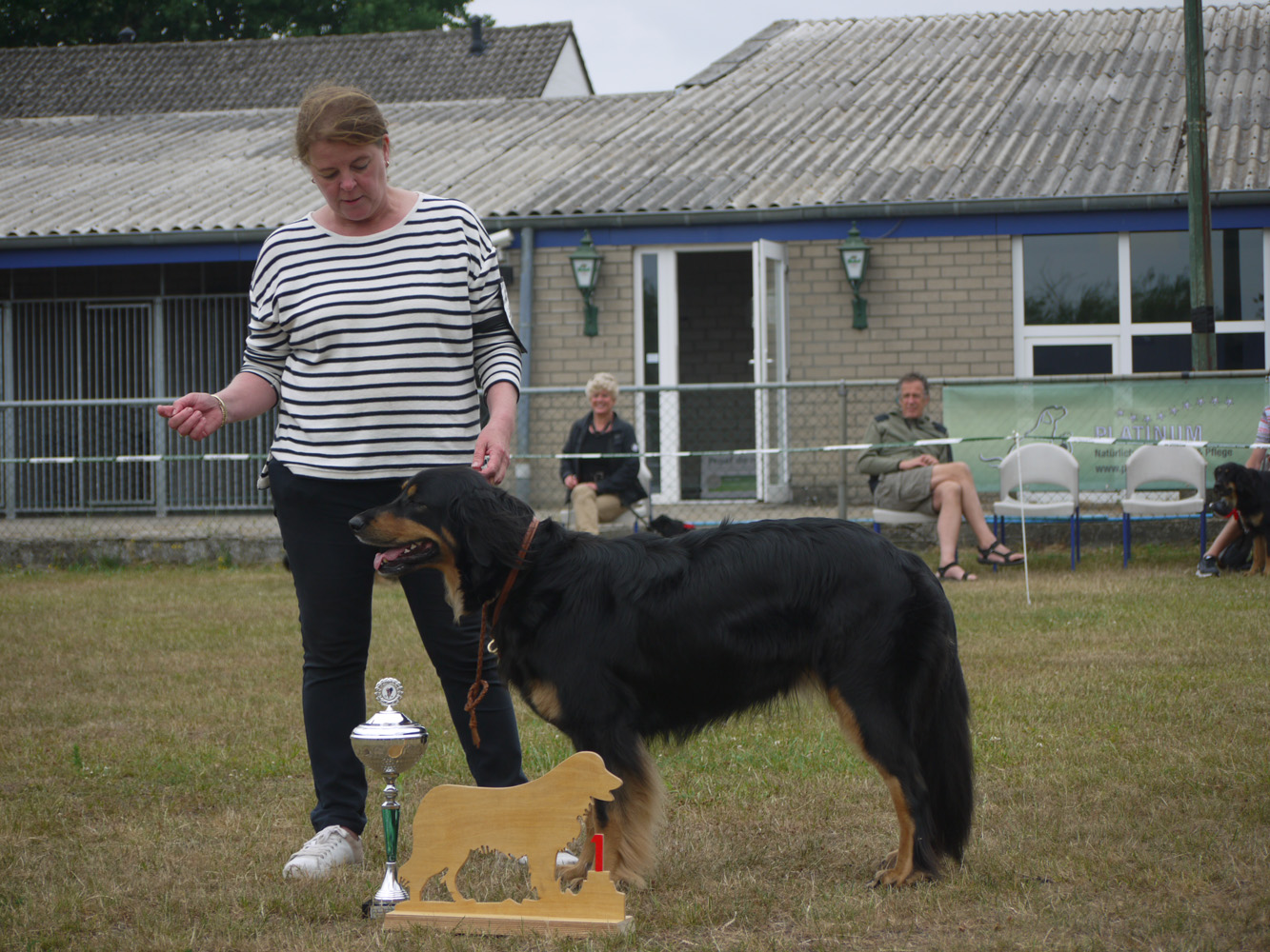 kampioenschapsclubmatch Hovawart Rasvereniging Nederland 2017 kampioenschapsclubmatch Hovawart Rasvereniging Nederland 2017